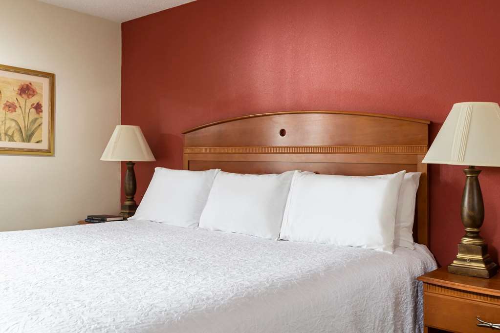 Hampton Inn By Hilton Youngstown-West I-80 Mineral Ridge Номер фото